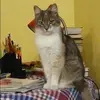 Отзыв от Альфия Муратова